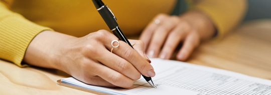 Visa Business Plans