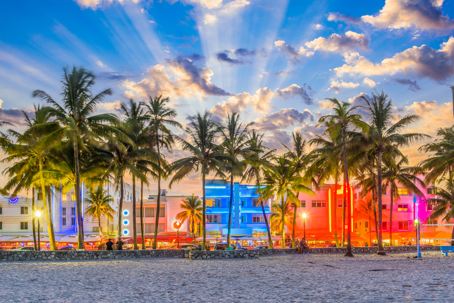Contrasting Business Environments in Tampa and Miami, Florida