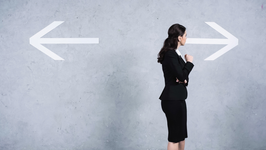 Decoding Executive Capacity: Understanding the USCIS Definition for L-1A Visa Applications