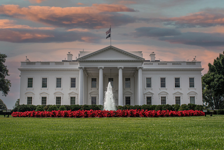 white house