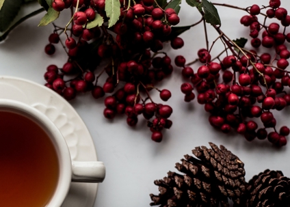 cup of tea, pinecones, and winter berries