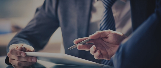 Visa Business Plans