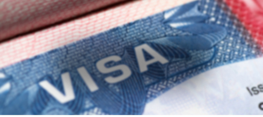 Visa Business Plans