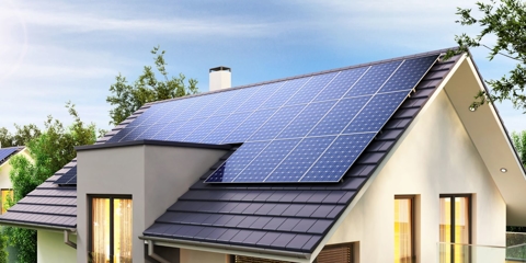 These 3 NIW Petitions Would Have Failed Under Trump—Until We Stepped In