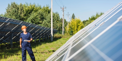 3 Small Business Ideas Poised for Success in 2025