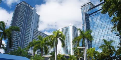 Buildings and palm trees
