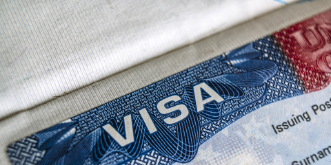 He Was Ready for Visa Renewal. His Business Was Not. Photo