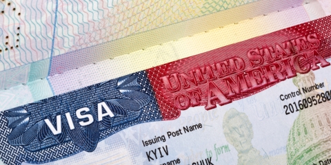 Visa Business Plans
