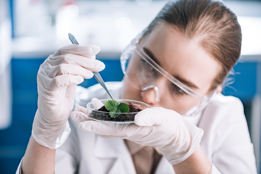 Securing NIW for a Plant Pathologist: An RFE Success Story - A Case Study