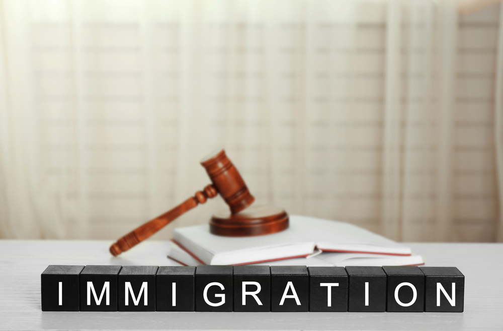 Is Your Endeavor of National Importance? Introducing NIW Viability Service for Immigration Attorneys and Clients
