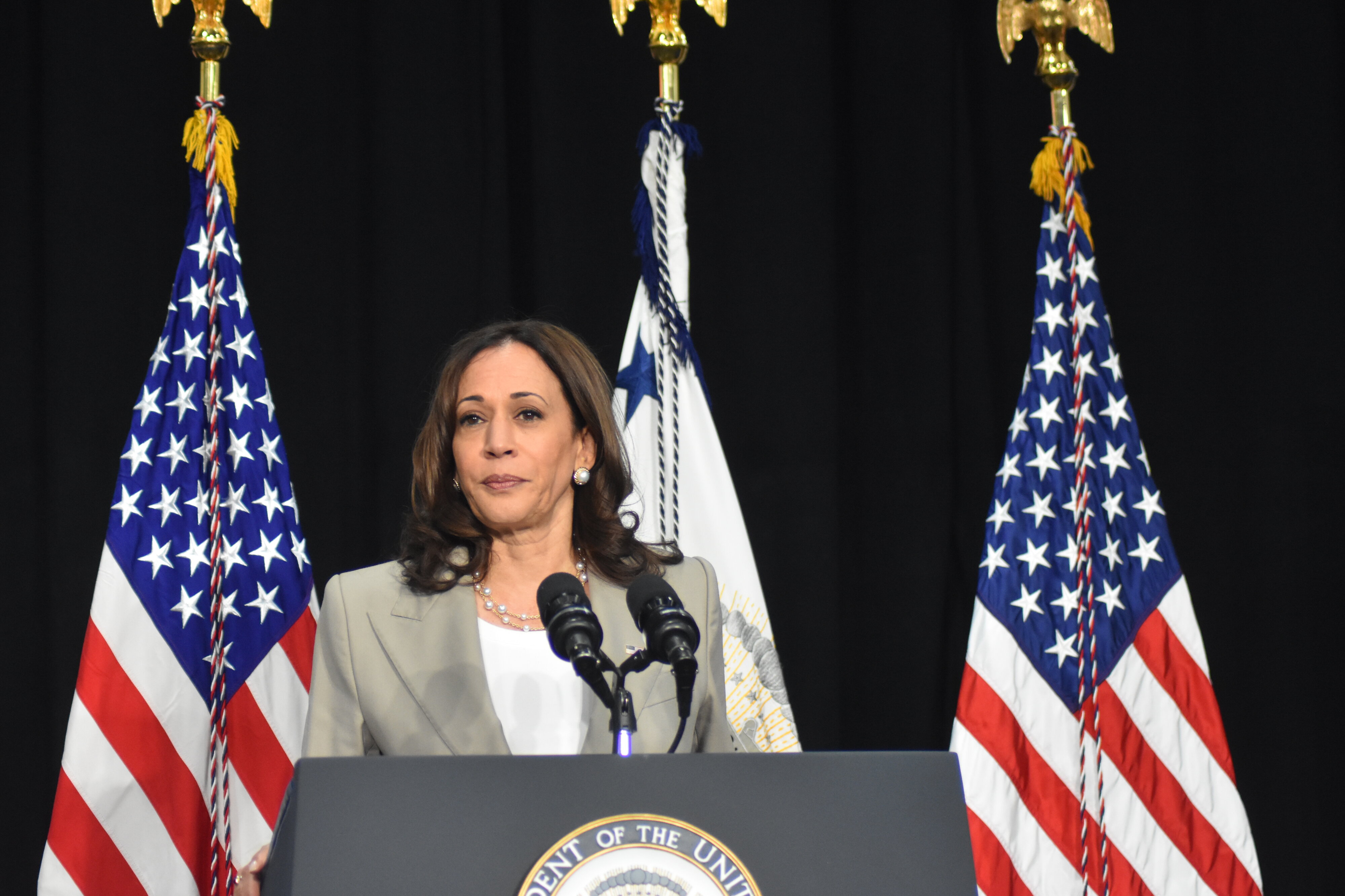 How a Potential Harris Presidency Could Empower Immigrant Entrepreneurs with Tax Breaks