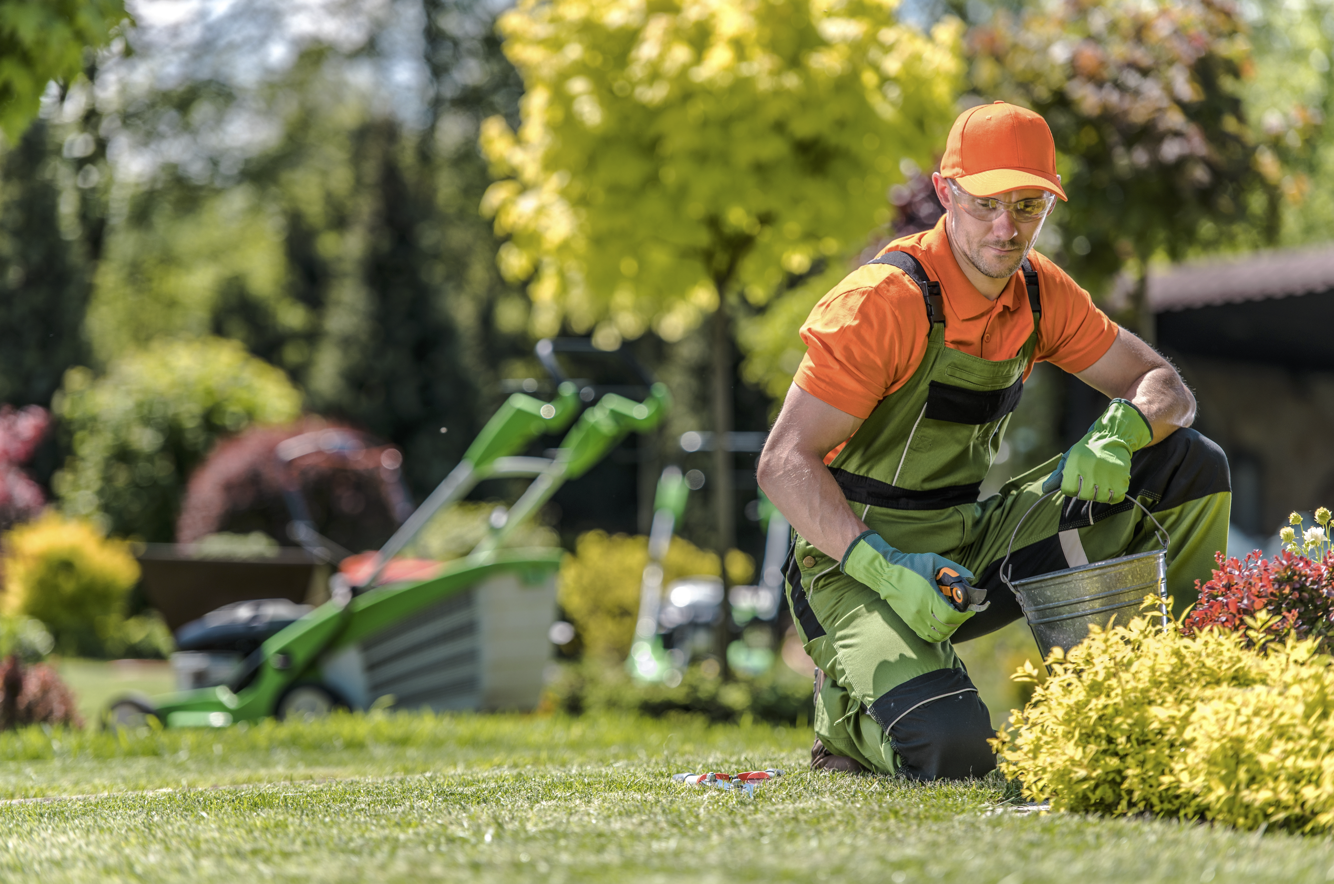 Oportunidades de negocio con la Visa E-2: Creación de empleo en los servicios de mantenimiento, jardinería y limpieza de piscinas