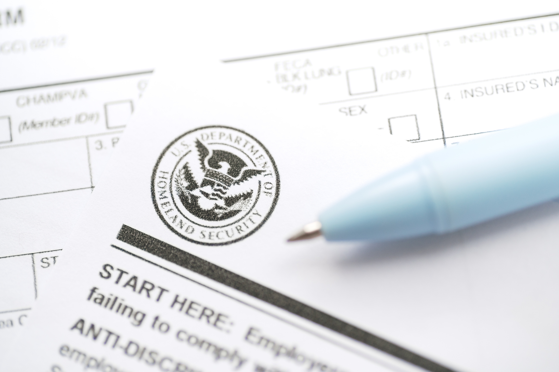Description US Department of Homeland Security documentation