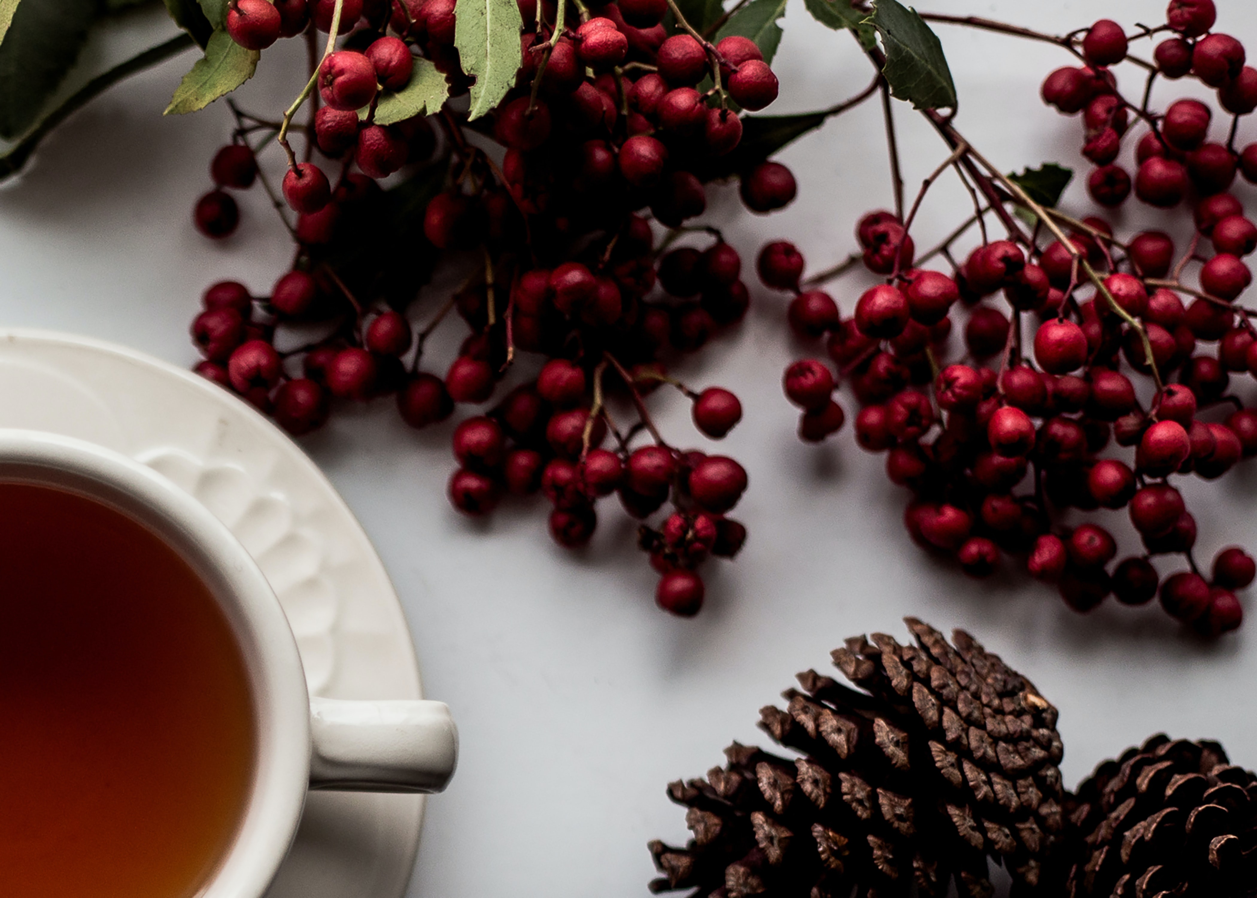 cup of tea, pinecones, and winter berries